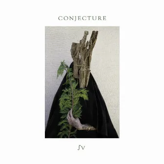 ∫V by Conjecture