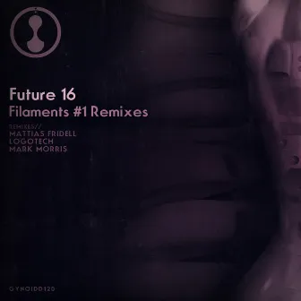 Filaments #1 Remixes by Future 16