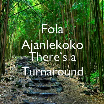 There’s a Turnaround by Fola Ajanlekoko