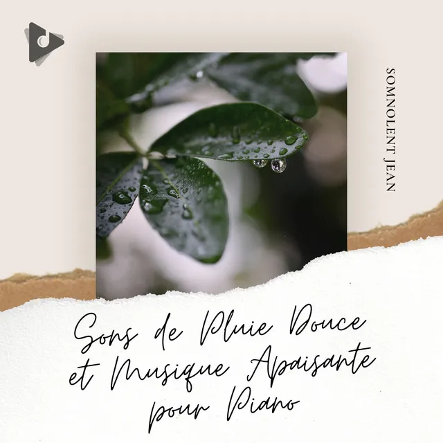 Sons de Pluie Douce et Musique Apaisante pour Piano