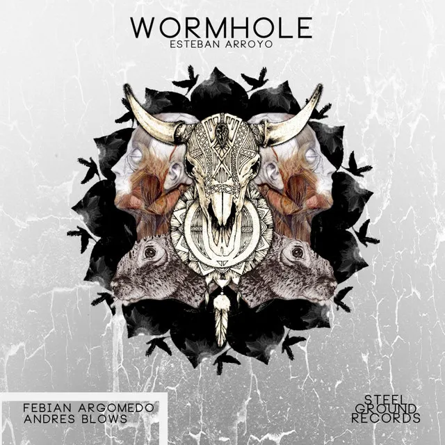 WormHole (Fabian Argomedo Remix)