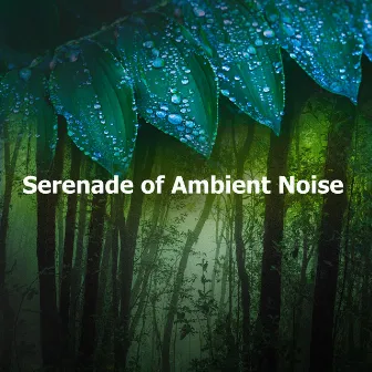 Serenade of Ambient Noise by Tranquil Forest Effect