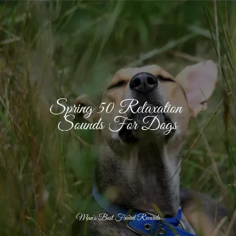 Spring 50 Relaxation Sounds For Dogs by Unknown Artist