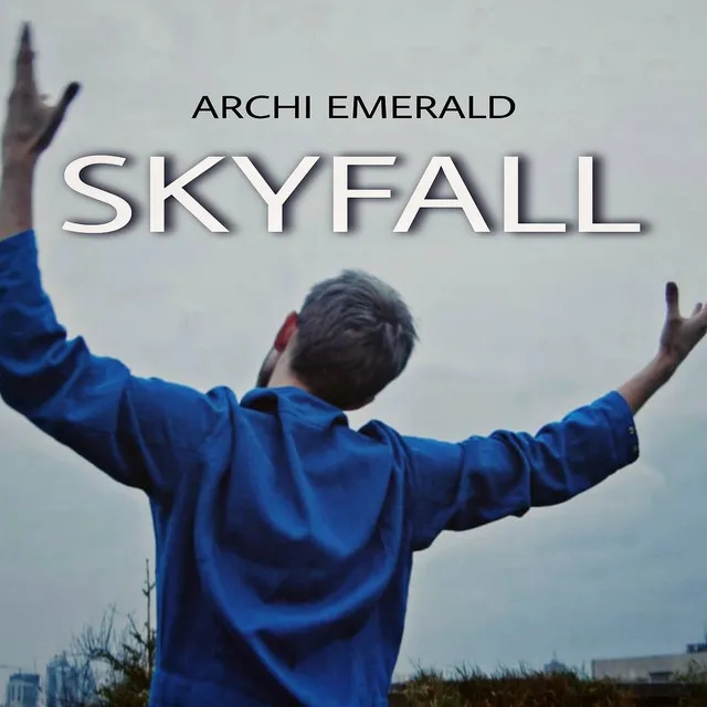 Skyfall (Cover)