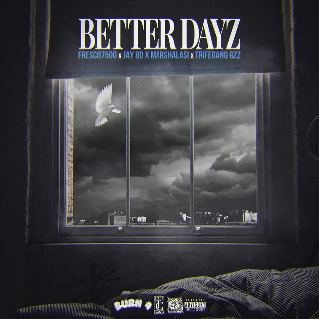 Better Dayz