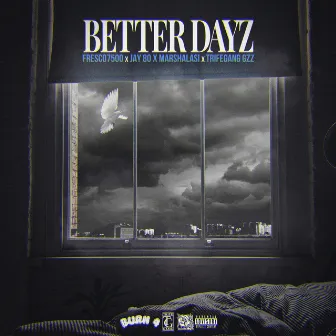 Better Dayz by TrifeGang Gzz