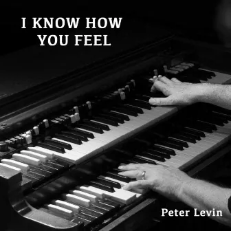 I Know How You Feel by Peter Levin