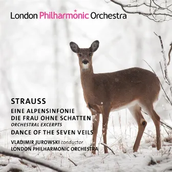 Strauss: Alpine Symphony, Die Frau ohne Schatten & Dance of the Seven Veils by Kristine Blaumane