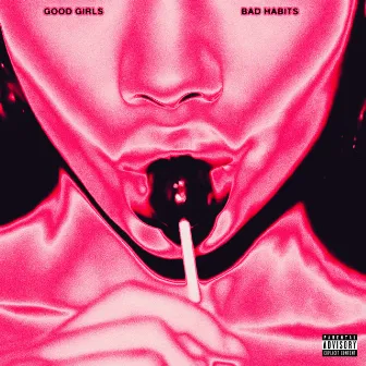 Good Girls Bad Habits by TnbMitch