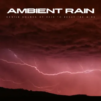 Ambient Rain: Gentle Sounds Of Rain To Reset The Mind by The Sleep Music Dreamers