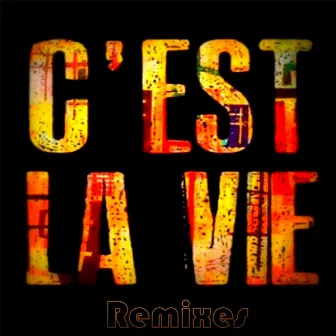 C'est La Vie (Remixes) by Khaled