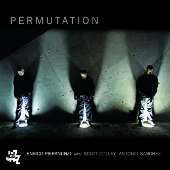 Permutation by Scott Colley