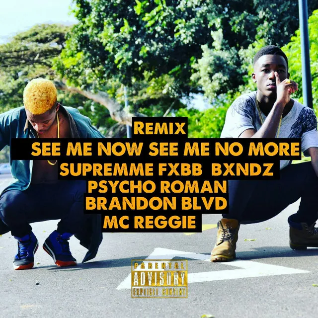 See Me Now See Me No More - Remix