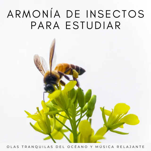 Armonía Interna Con Melodías De Insectos