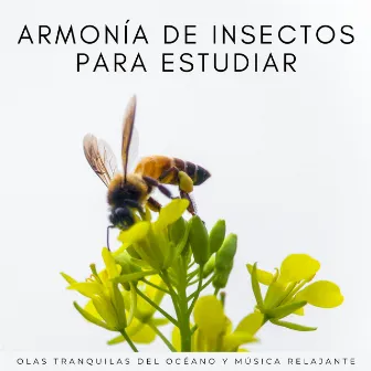 Armonía De Insectos Para Estudiar: Olas Tranquilas Del Océano Y Música Relajante by Momentos relajantes de música de estudio