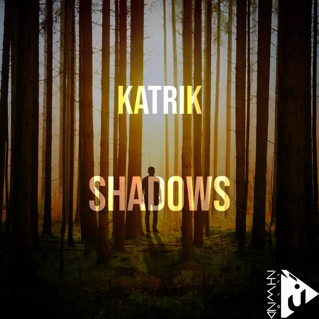 Shadows - Radio Mix