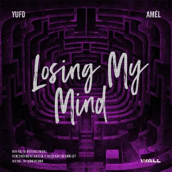 Losing My Mind by Amél