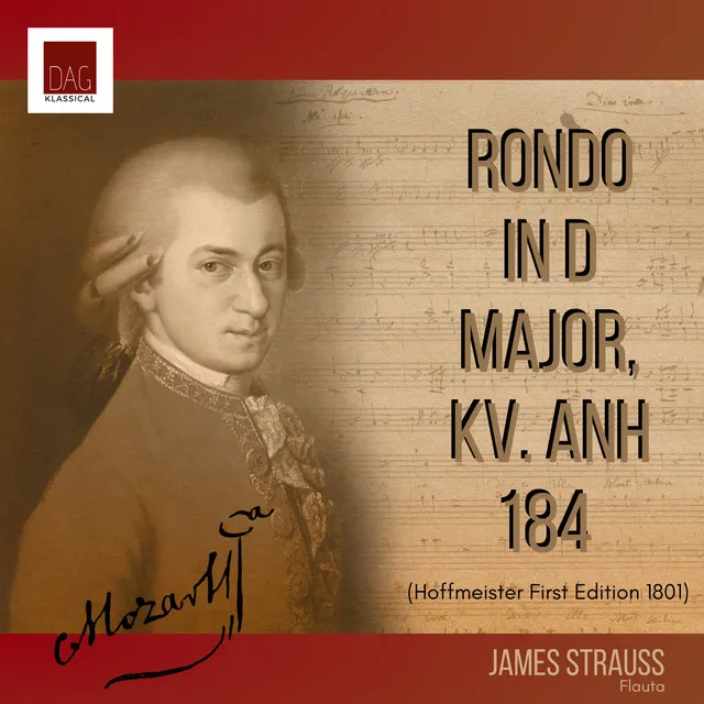 Rondo in D Major, KV. Anh 184 (Hoffmeister First Edition 1801) (feat. Camerata Simón Bolivar)