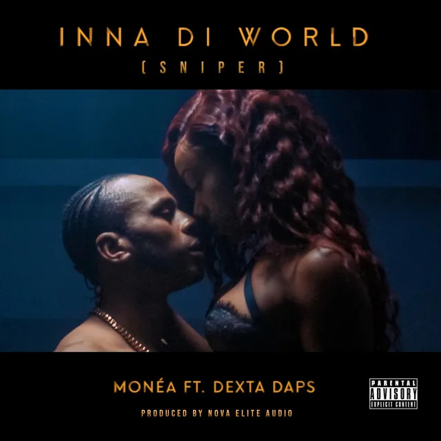 Inna Di World (Sniper) [Remix]