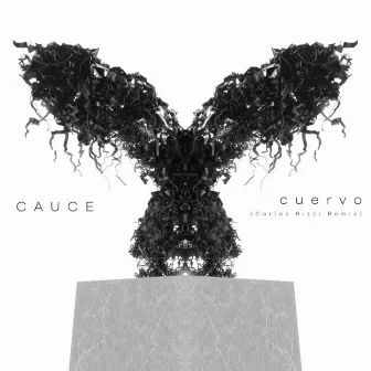 Cuervo (Carlos Rizzi Remix) by Cauce