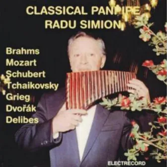 Classical Panpipe by Radu Simion