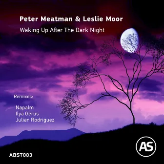 Waking up After the Dark Night by Peter Meatman