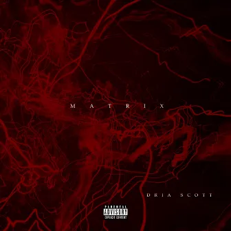 Matrix by Dria Scott