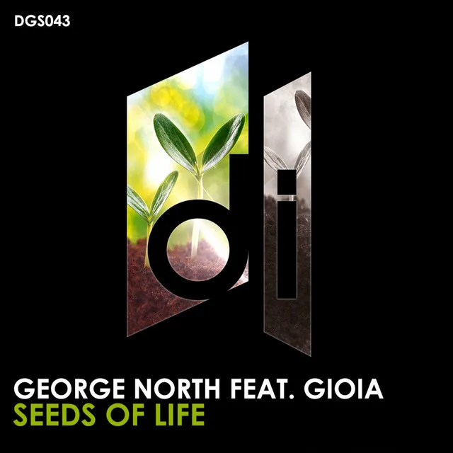 Seeds Of Life