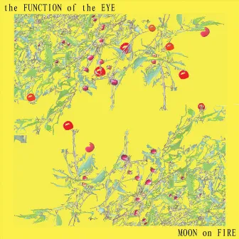 The Function of the Eye by Helen Svoboda