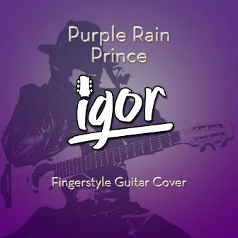 Purple Rain (Guitar Cover) by Igor Presnyakov