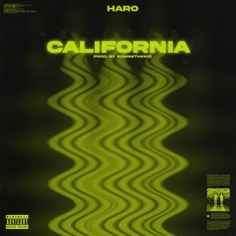 Califórnia by Haro