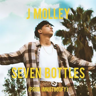 Seven Bottles by J Molley