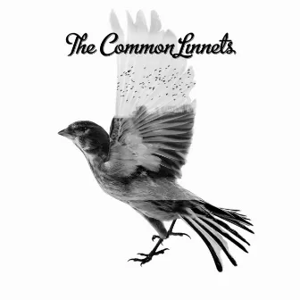 The Common Linnets by The Common Linnets