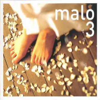 Cherry Blossoms Are Gone by Malo