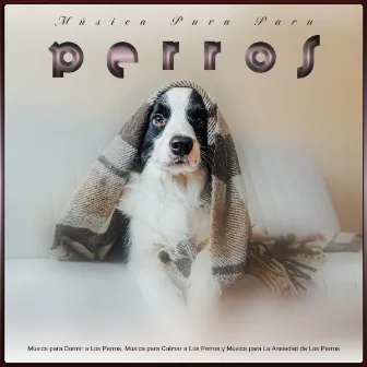 Música Pura Para Perros: Música para Dormir a Los Perros, Música para Calmar a Los Perros y Música para La Ansiedad de Los Perros by Música Para Perros