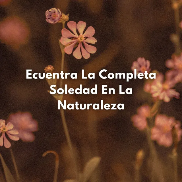 Ecuentra La Completa Soledad En La Naturaleza