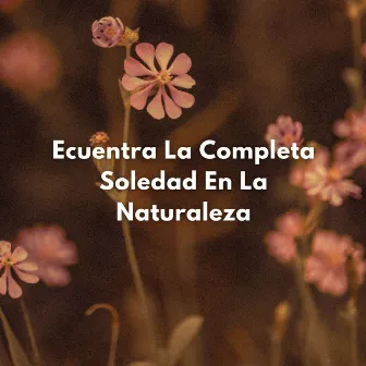 Ecuentra La Completa Soledad En La Naturaleza by Canal de Relajación