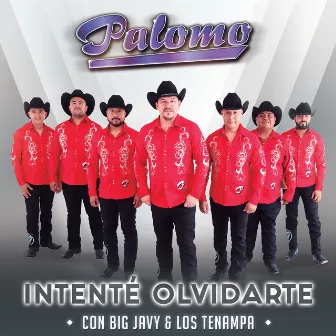 Intenté Olvidarte by Big Javy & Los Tenampa