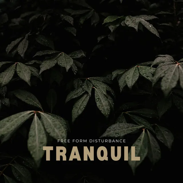 Tranquil