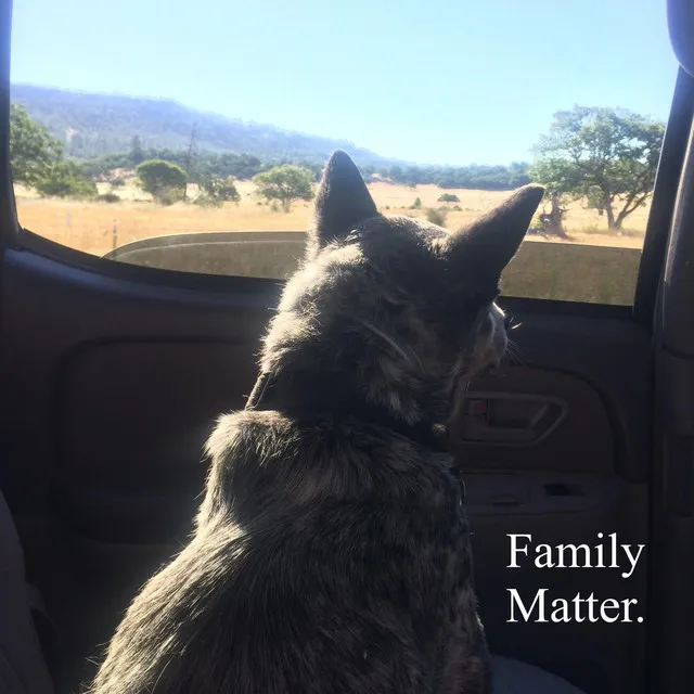 Family Matter