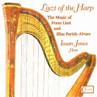 Liszt of the Harp by Ieuan Jones