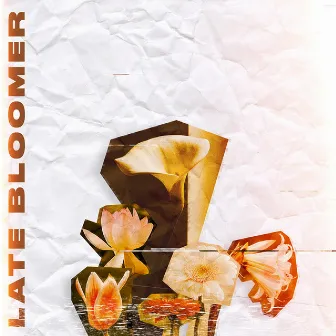 Late Bloomer by Amati