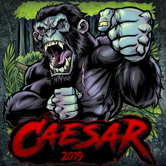 Caesar 2019 by Knætt