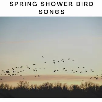 Spring Shower Bird Songs by Forest Rain