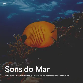 #01 Sons do Mar para Reduzir os Sintomas do Transtorno de Estresse Pós-Traumático by Unknown Artist