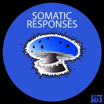 Axon by Somatic Responses