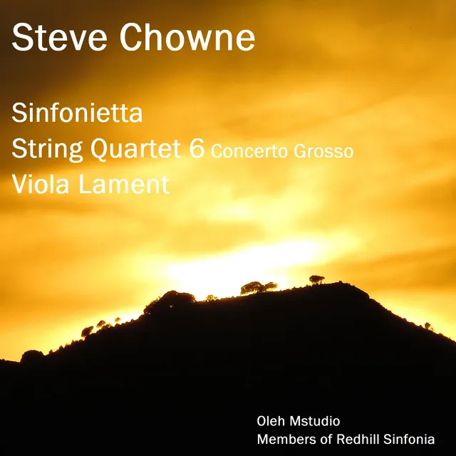 String Quartet VI - II Adagio