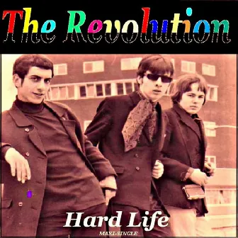 Hard Life version 2 by The Revolution