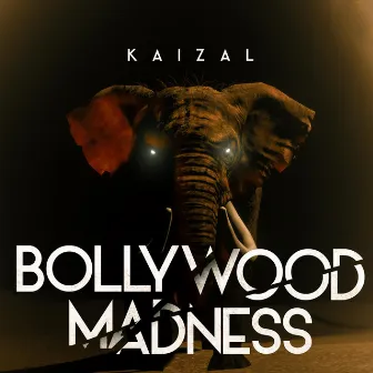 BOLLYWOOD MADNESS by KAIZAL