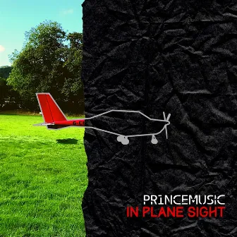 In Plane Sight by Pr1ncemusic